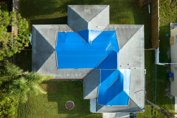 Best Asphalt Shingle Roofing  in New Paris, OH